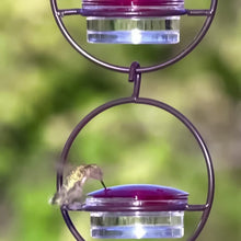 Load image into Gallery viewer, Hummble Slim Hummingbird Feeder
