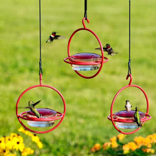 Load image into Gallery viewer, Hummble Slim Hummingbird Feeder
