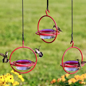 Hummble Slim Hummingbird Feeder