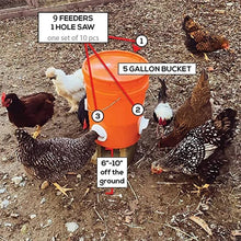 Load image into Gallery viewer, Feeding Kit Special Tools For Breeding Chickens Ducks Poultry Accessories
