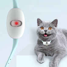 Load image into Gallery viewer, 🔥Electric Smart Amusing Collar for Kitten
