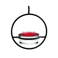 Load image into Gallery viewer, Hummble Slim Hummingbird Feeder
