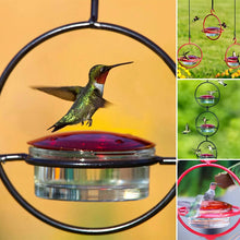 Load image into Gallery viewer, Hummble Slim Hummingbird Feeder
