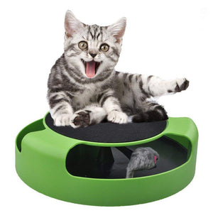 Catch Mouse Interactive Cat Toy