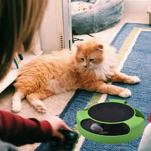 Load image into Gallery viewer, Catch Mouse Interactive Cat Toy
